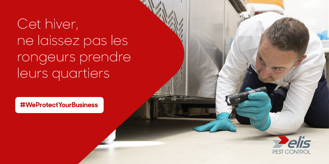 Elis Elisgroup Twitter