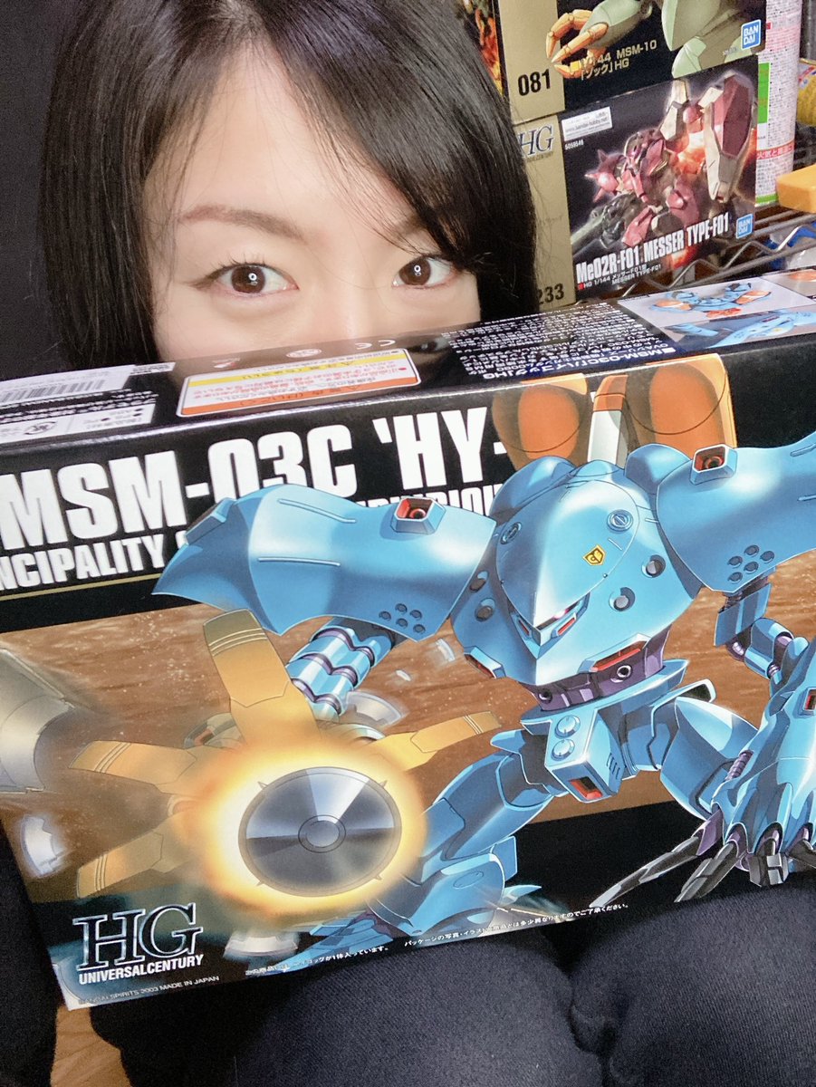 Hguc ハイゴッグレビュー これはかっこいい ガンプラ女子の素組 スミ入れレビュー