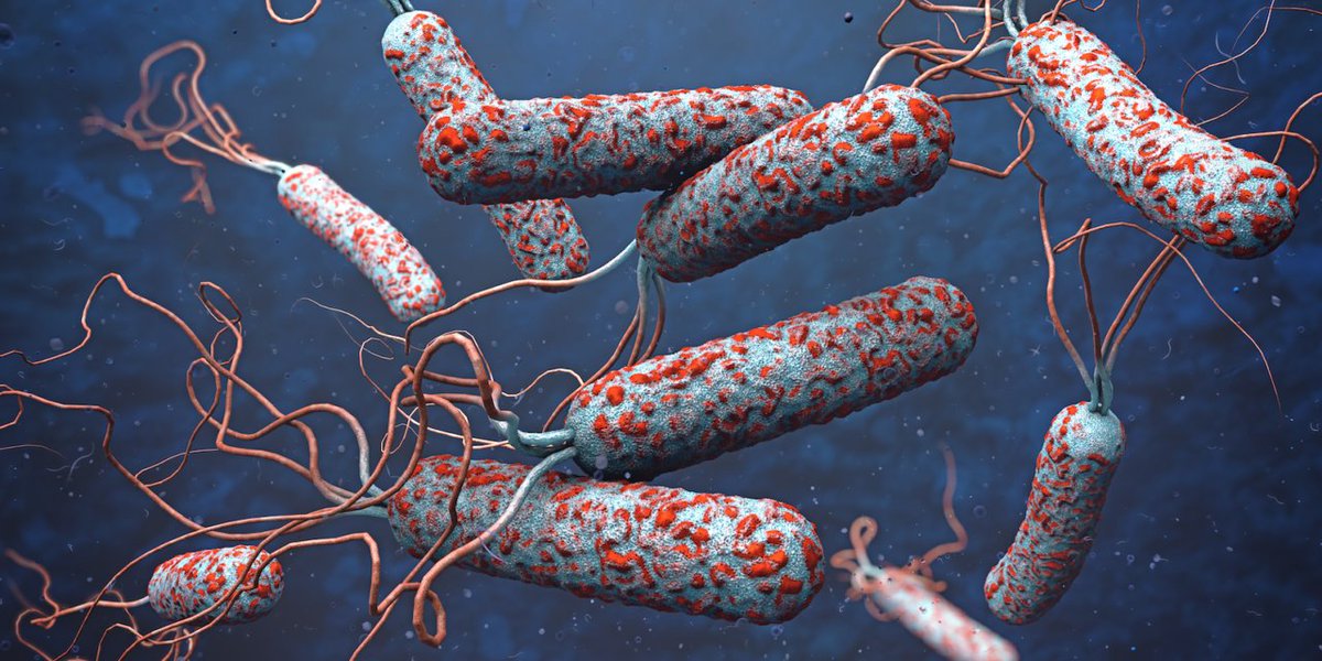 9/ The biological mechanism underlying the linkbetween polluted water and cholera was unknownat the time of this successful ‘precautionaryprevention’ in 1854: that came 30 years later, in1884, when Koch announced his discovery of thecholera vibrio in Germany.