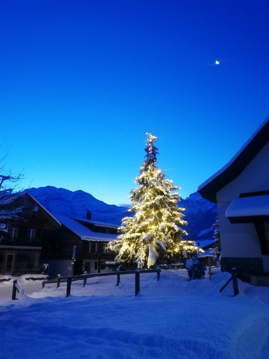 #FeelTheLove #lenk #lenkimsimmental #meineberge #sichergömeridbärge #nature #mountain #snow #amazing #view #lenkerhof #bühlberg #xmas #weihnachten #christmas #christmastree