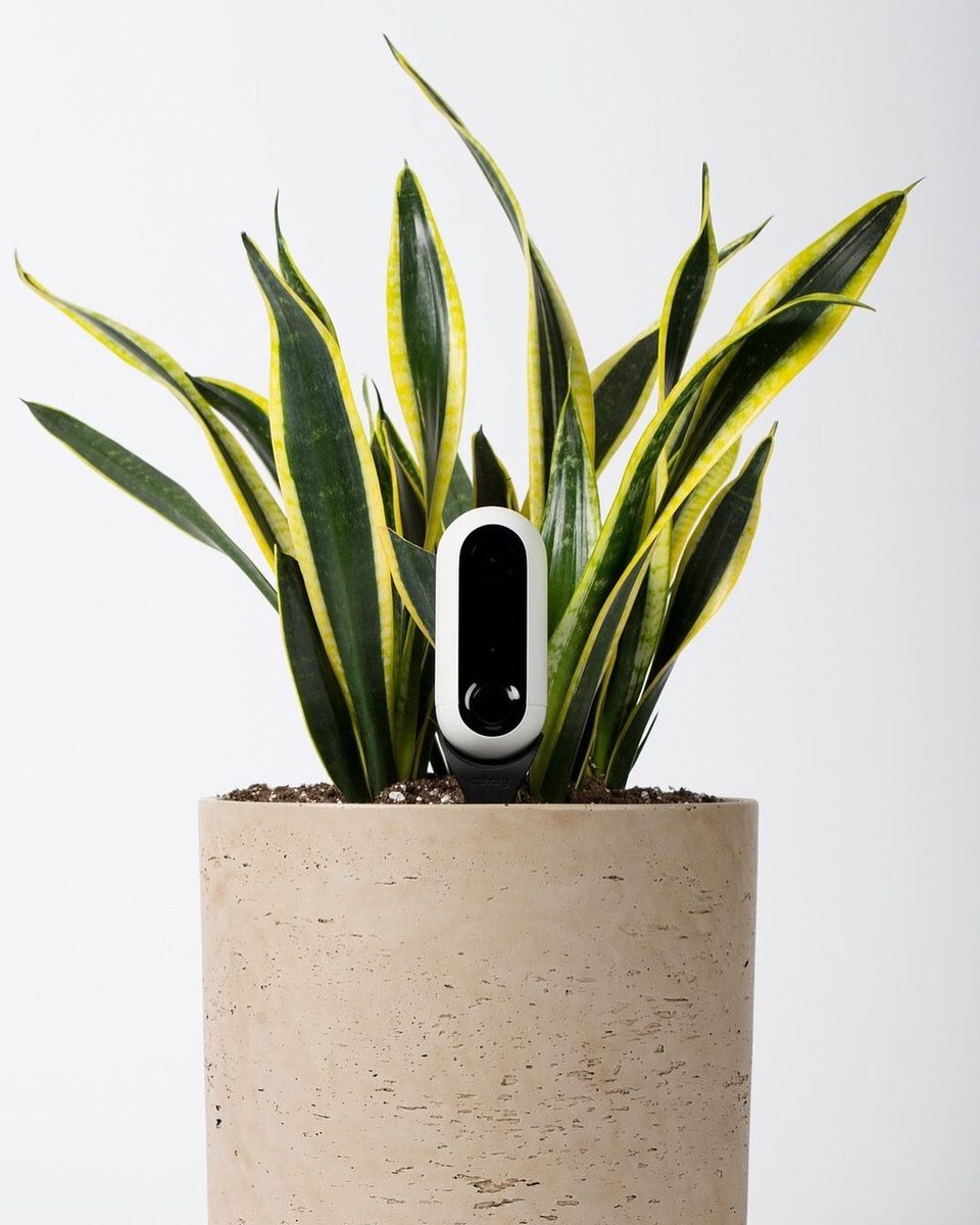 The Canary Flex functions as elegantly as it looks 😎  Thanks to a detachable magnetic base, this camera has flexible positioning according to your needs: use it inside or outside, wire-free or plugged in, upright or mounted! Where would you place your Flex?