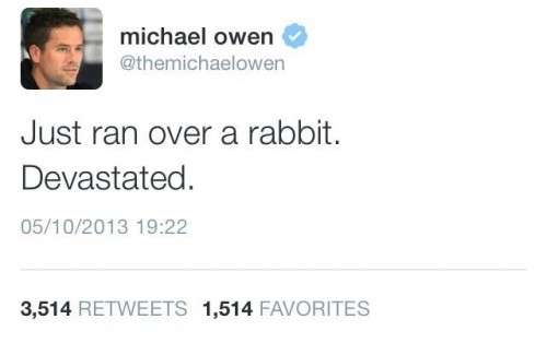 He’s run over a rabbit