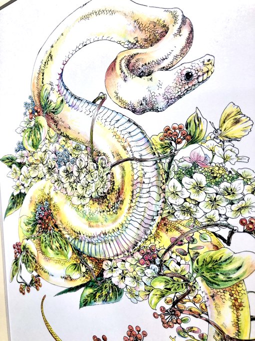「シンプルな背景 白蛇」のTwitter画像/イラスト(新着)｜3ページ目
