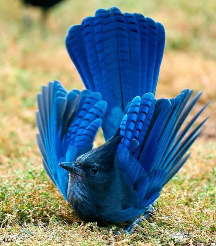 ���� ���� ������ �� ���� ������