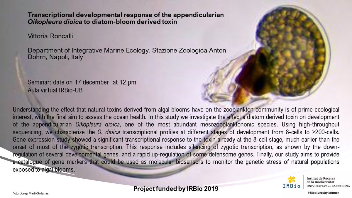 IRBioUB's tweet photo. Resultats Ajuts IRBio PR-2019
Transcriptional developmental response of the appendicularian Oikopleura dioica to diatom-bloom derived toxin.  Vittoria Roncalli, Dpt. IME, @SznDohrn
Dia: 17/12/2020 
Hora: 12h
Lloc: Aula IRBIo-UB:  https://t.co/2Dfa67vk03 https://t.co/DlyIhc2J7g