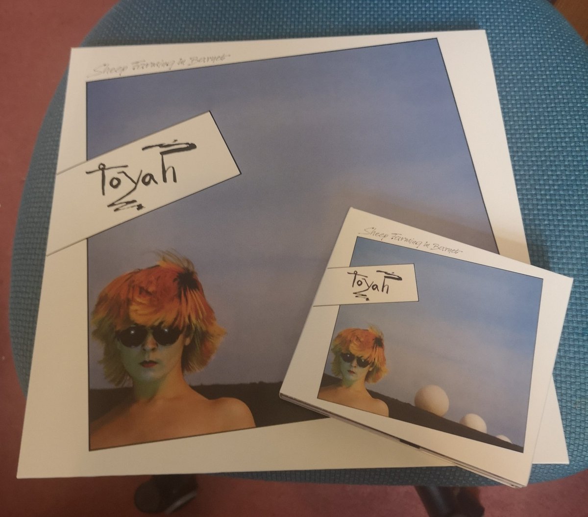 Mepster_UK's tweet photo. @toyahofficial it's here!!!! So looking forward to these...... https://t.co/yHPxKYfxng