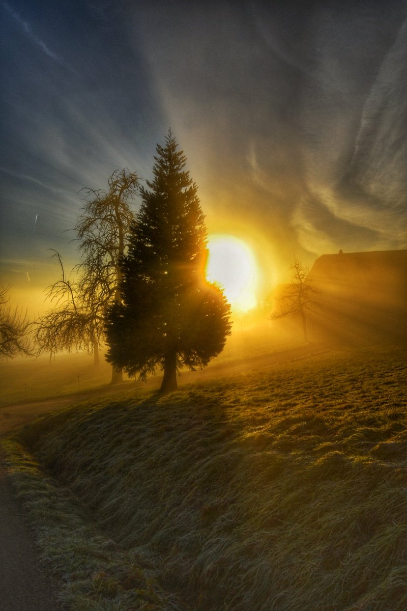 littleswisslady's tweet photo. #täglicheWunder💛
#myswitzerland
#miniHeimat https://t.co/clef3AddSy