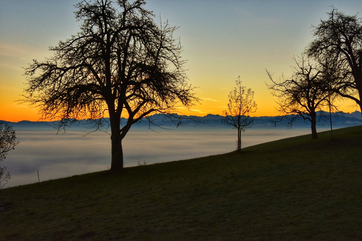 littleswisslady's tweet photo. #täglicheWunder💛
#myswitzerland
#miniHeimat https://t.co/clef3AddSy