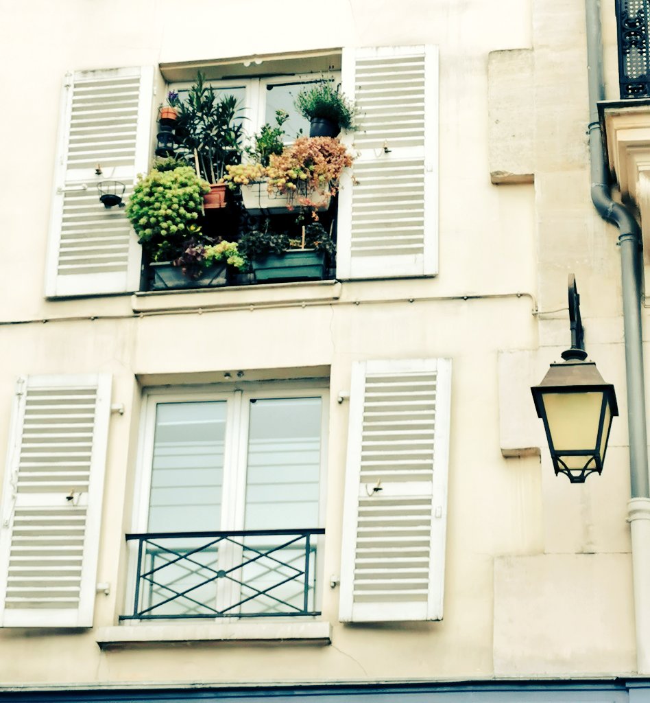 jejeparis's tweet photo. Projet #photo #windows2020
#Paris

🎶 C'est un #jardin extraordinaire... 🎶 https://t.co/JOBQQQArou