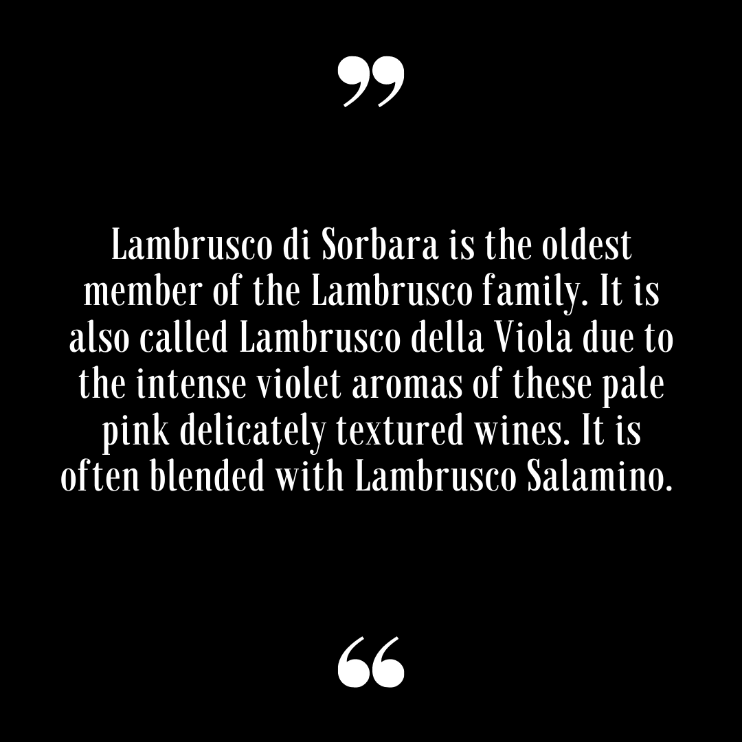 ItalianWineBook's tweet photo. Learn more about Italian #NativeGrape variety, #Lambrusco di #Sorbara and many more by ordering a copy of 𝙅𝙪𝙢𝙗𝙤 𝙎𝙝𝙧𝙞𝙢𝙥 𝙂𝙪𝙞𝙙𝙚 𝙩𝙤 𝙄𝙩𝙖𝙡𝙞𝙖𝙣 𝙒𝙞𝙣𝙚!
Available on Amazon:
https://t.co/uY6jCput6X
& at the wine2digital online shop: https://t.co/sriQRbd3LT https://t.co/4OQyU7CGkr