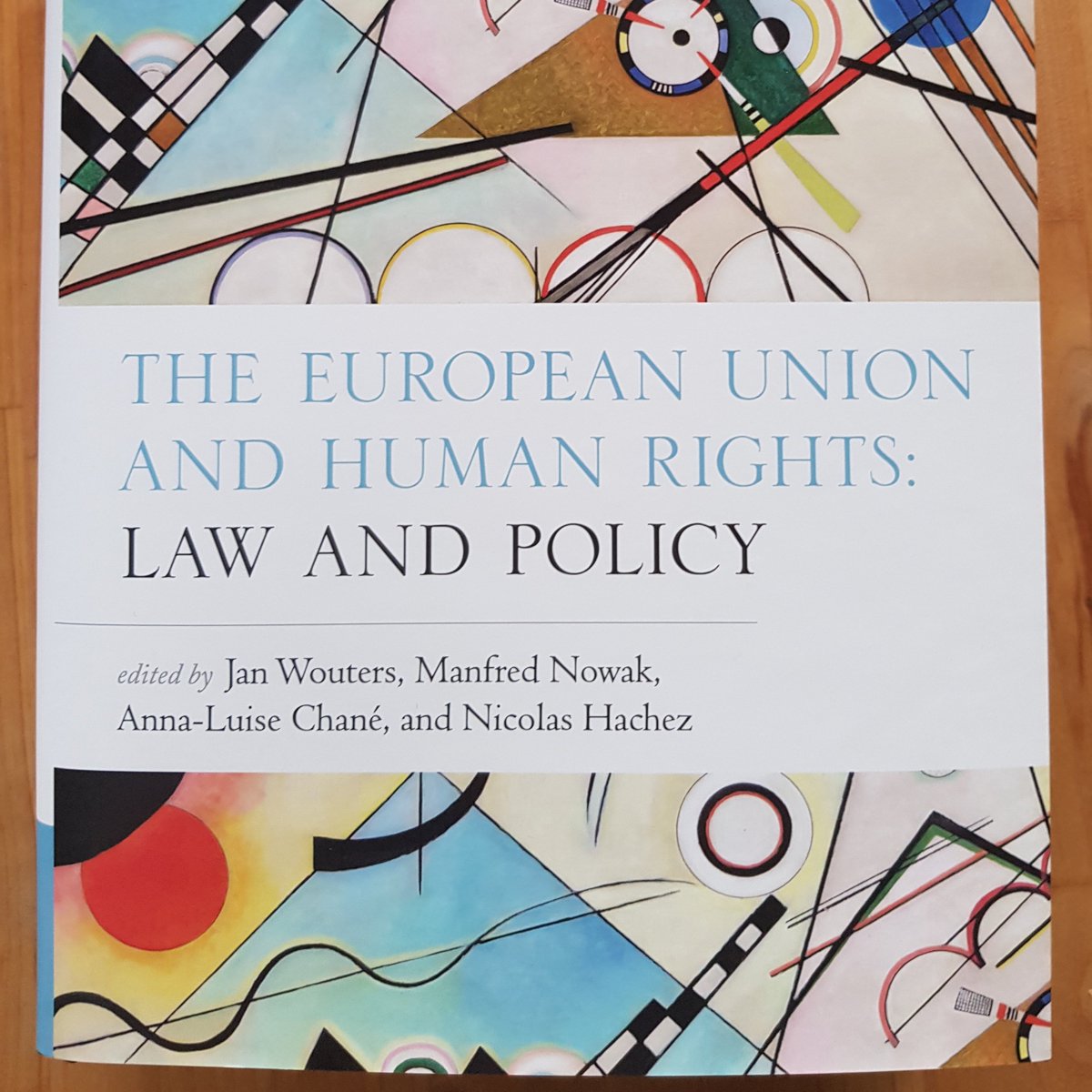 Chane_AL's tweet photo. Out now: "The #EU and #humanrights: Law and Policy"! A comprehensive analysis of the framework, actors, policies and strategies. Building on seven years of research by the brilliant @FP7FRAME team. @OUPLaw @LeuvenGGS https://t.co/zPNnVxUdRy https://t.co/I9TNggbvO1