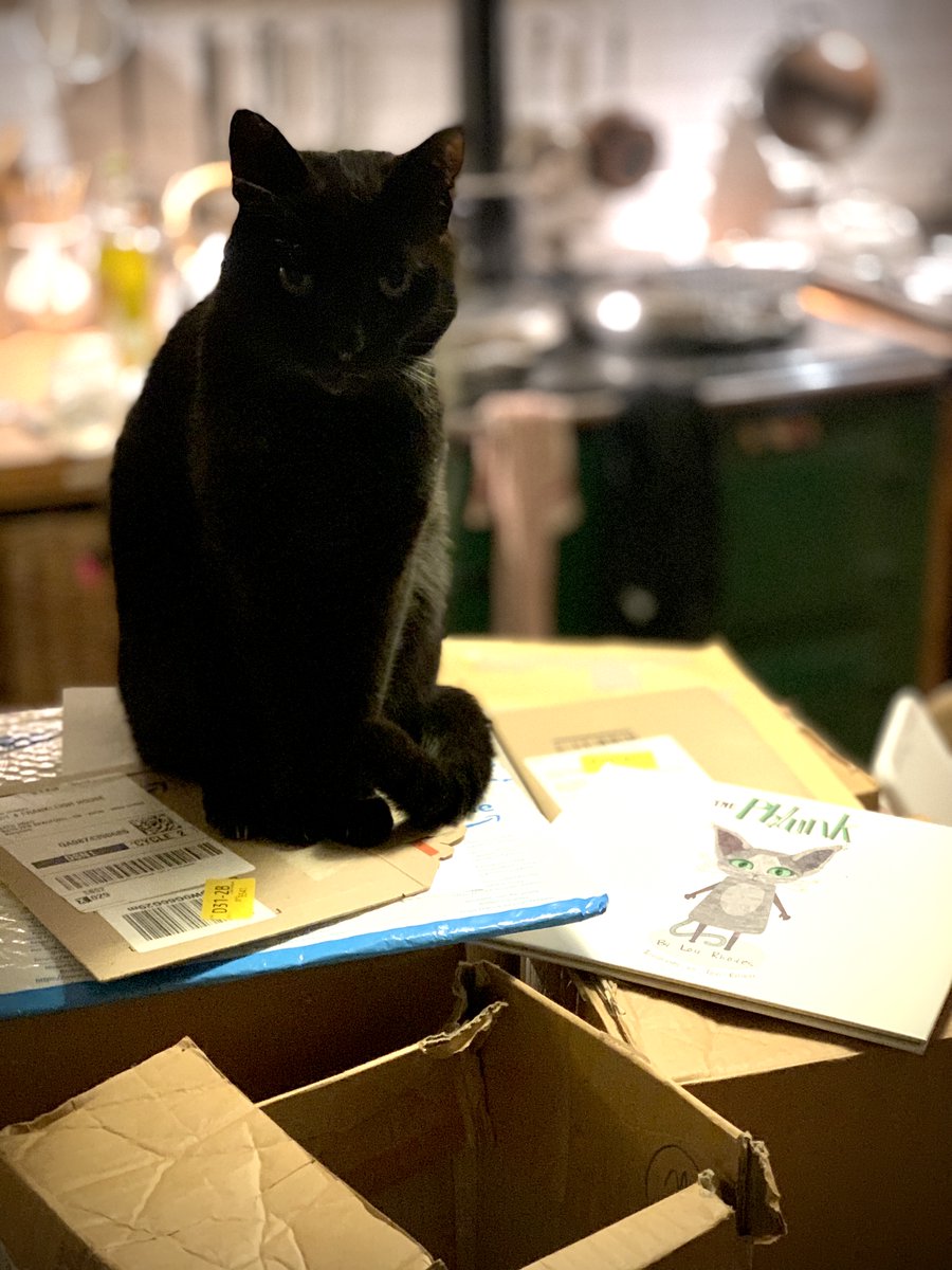 The Phlunk tweet media