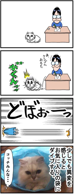 ウチの猫は超ビビリ 