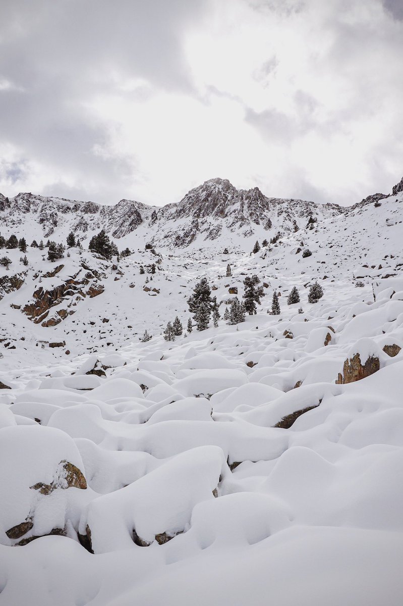 Grandvalira Andorra tweet media