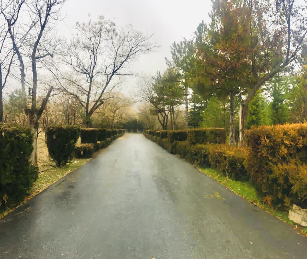 Sanırım doğaya olan aşkım hiç bitmeyecek.🍂🍁🤎
Şurda yapılan yürüyüş terapi gibisinnn🌧💯💥🎶😻