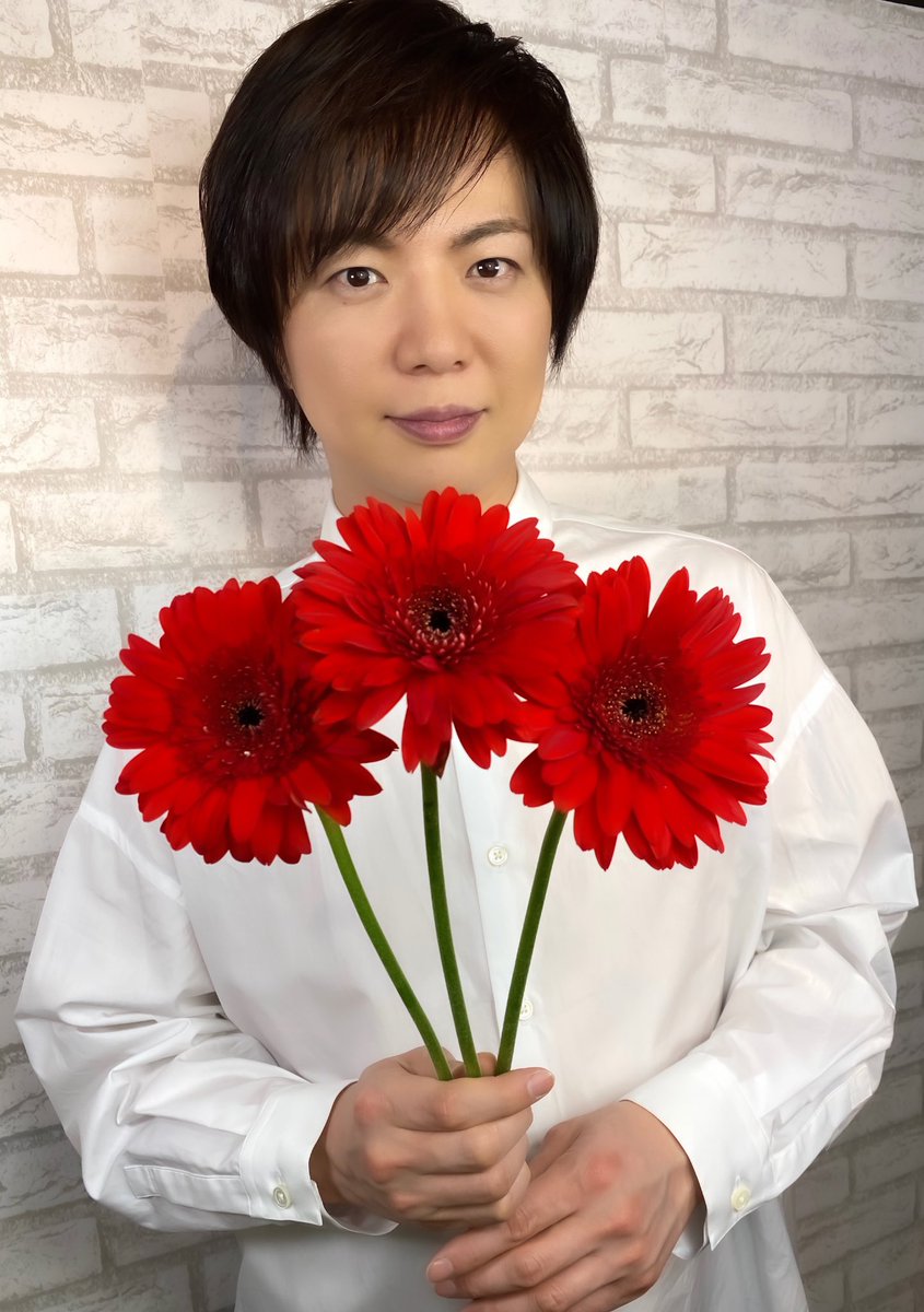 O Xrhsths 竹島宏スタッフ 公式 Sto Twitter ガーベラ ３本のガーベラの花言葉は 愛している ガーベラの花言葉は色 本数によって変わります 情熱的な赤の物語はつづく 今日も１日お疲れ様でした ひろネット 花便り 花言葉 花のある暮らし 花を贈