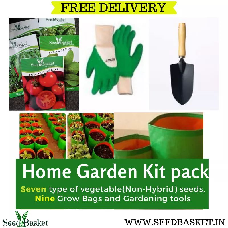 seedbasket's tweet photo. Home Garden Kit Pack #homegardening #kitchengardening #terracegardening #growbags #falcongardenhandgloves #handglove #agriculture #mondaymotivation #nativevegetableseeds #flowerseeds #fruitseeds #smallbusiness #supportlocal #seedbasket #india Order Online: https://t.co/200m0ojBgV https://t.co/JcFpIFLFW8