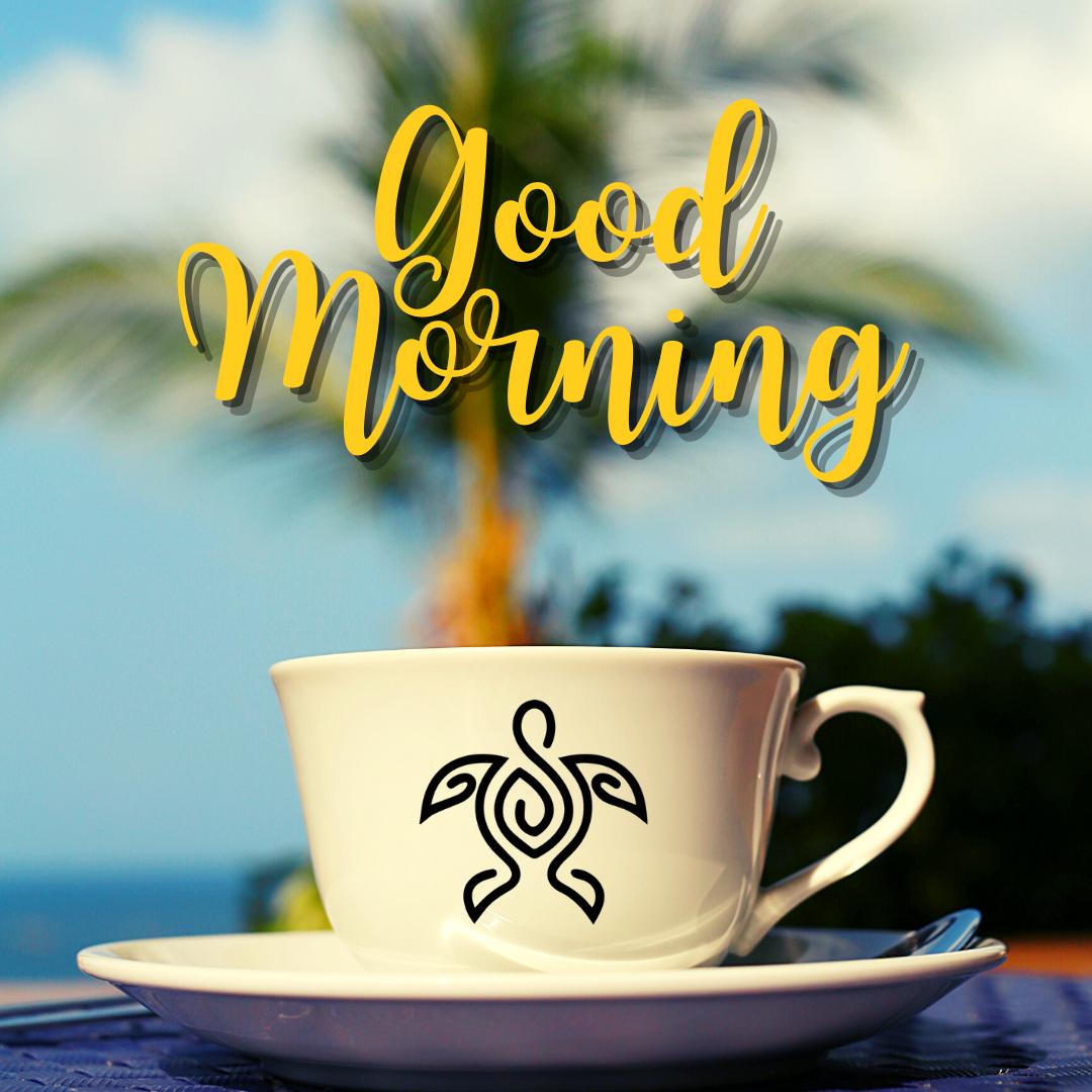 BCHCMR1200's tweet photo. ☀☕Rise and Shine and enjoy freshly brewed specialty coffees, teas, or deliciously healthy smoothies at The Beachcomber Resort &amp; Club's new Coffee Bar.😀

Now open for our resort guests and the general public; daily from 7 AM - Noon.  Free parking is available. https://t.co/tVF51v8b02