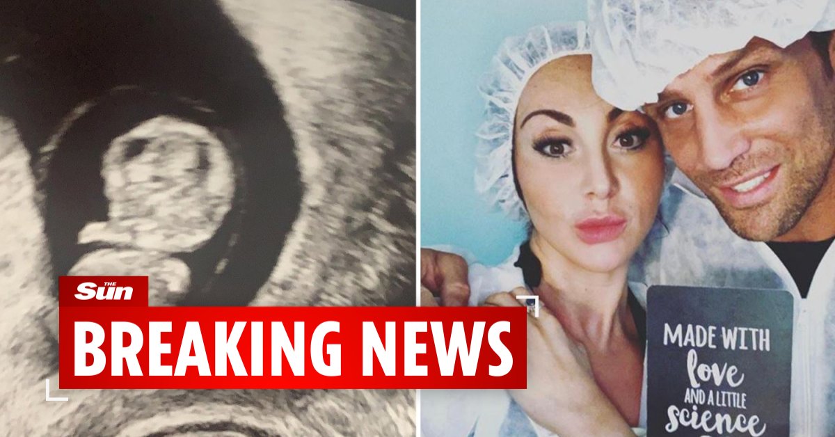 Alex Reid's fiancee Nikki has miscarried one of their twins