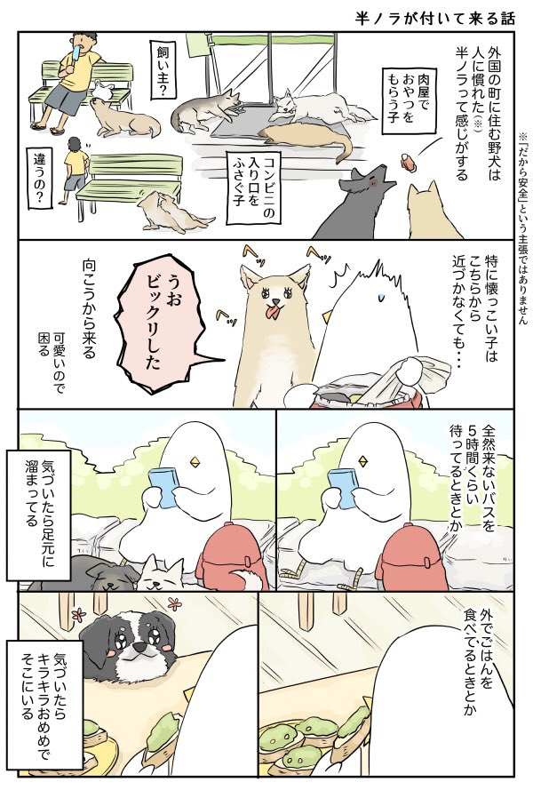 半ノラが付いて来る話 