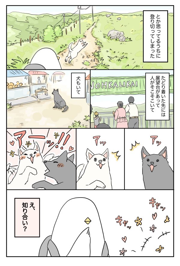 半ノラが付いて来る話 