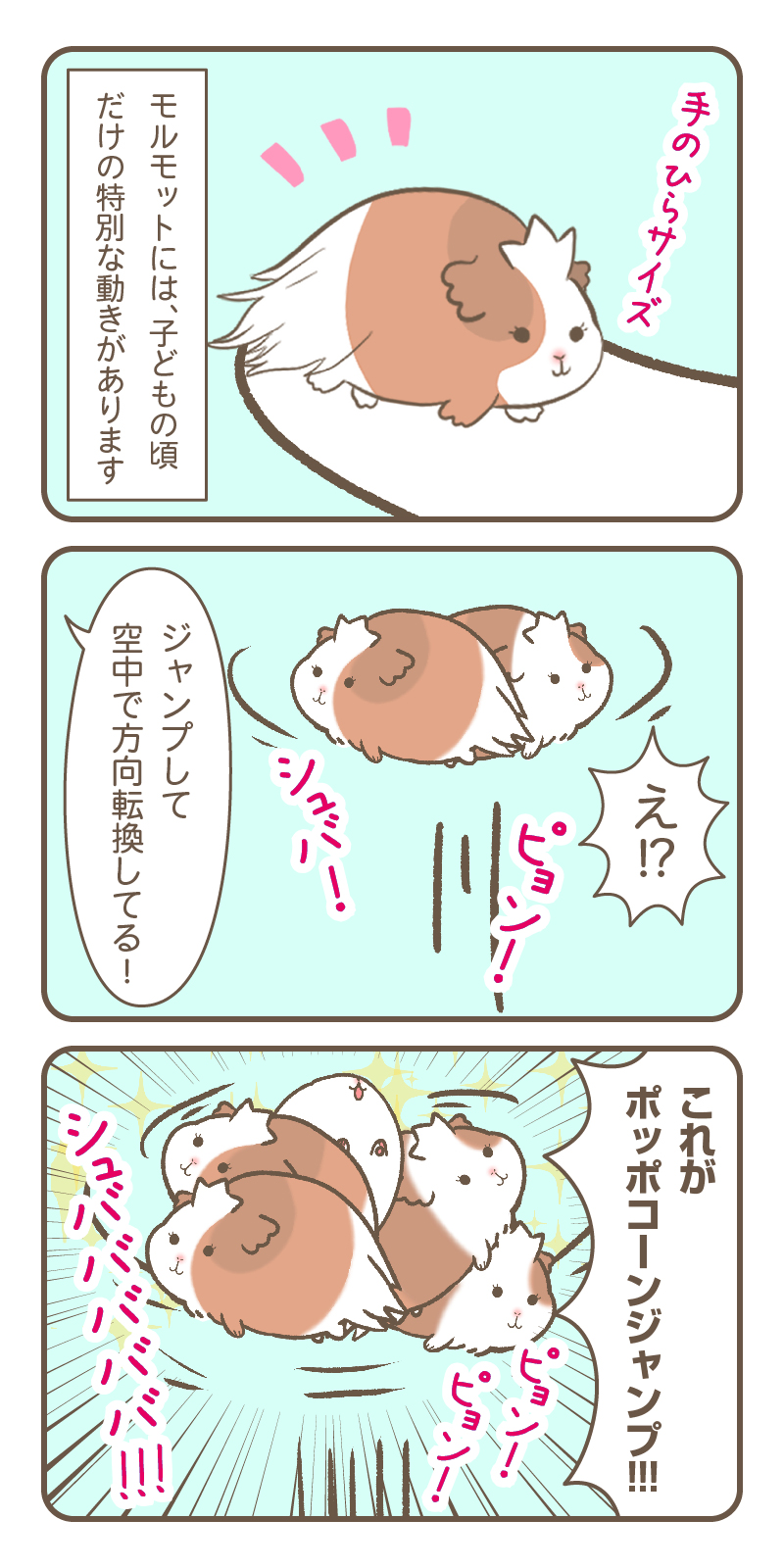 網野おもち 愛モルモットおはぎちゃん 6 ポップコーンジャンプ 4コマ漫画 絵描きさんと繫がりたい T Co 4selhhgizm Twitter