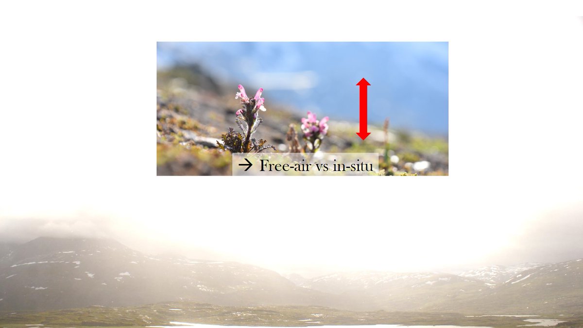 4/n But how come? 3 things. 1) most available data is based on weather-stations, measuring ‘free-air temperature’ at ~2 m above open ground. But what do most species feel? Temperatures close to the ground and other surfaces. Staggering differences there!  #BES2020