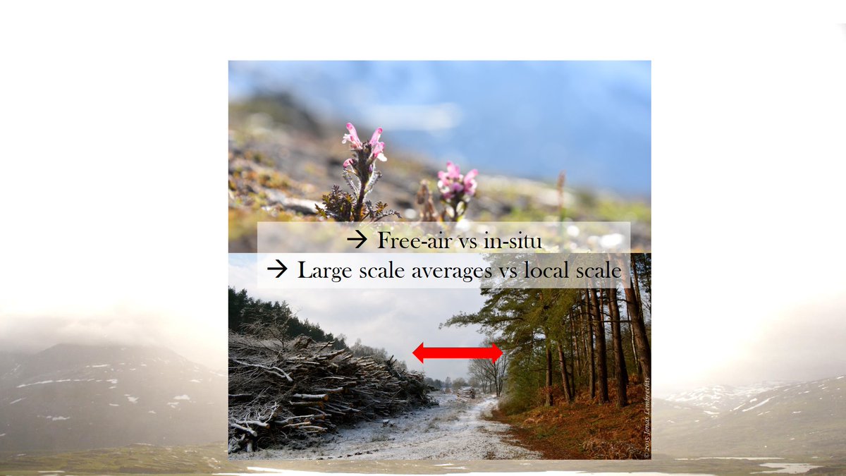 5/n Issue 2) Most available climate data: averaged at large scales, brushing over the awesome variety in conditions within – say – 1 km², or a few m², for that matter. Check out this south-facing forest edge on a rare snow day in Limburg, Belgium, for example.  #BES2020