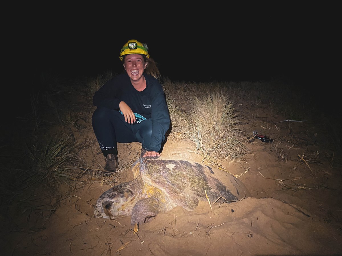 Spent the last few weeks camped on Peak Island with the Qld Turtle Monitoring Program. 
The Peak Island flatback nesting population has been monitored by Dr. Col Limpus since the 80s, so it was a real privilege to be invited to contribute to this very groovy longterm data set!🐢