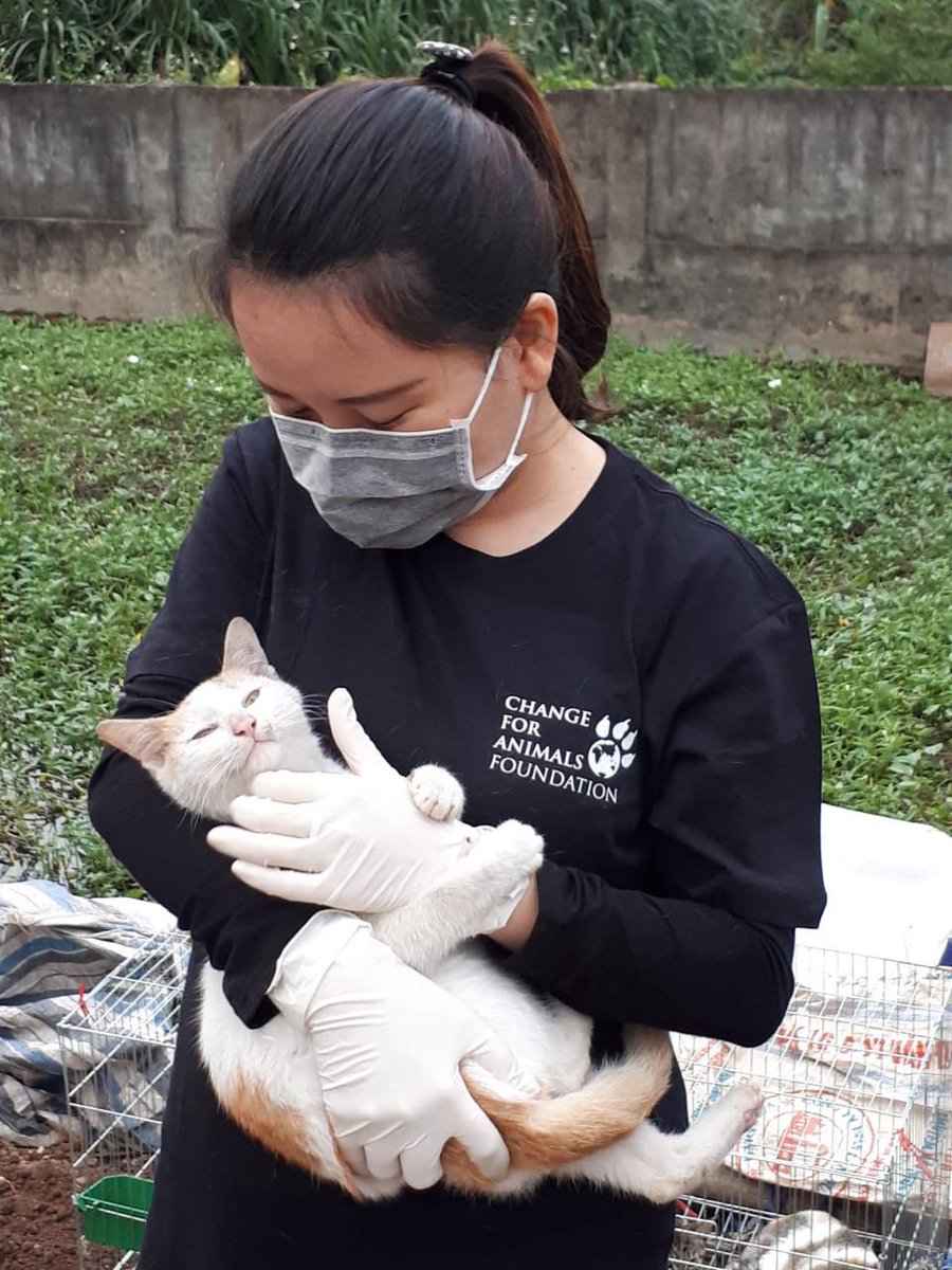GREAT NEWS! - The cat and dog slaughterhouse in Vietnam is closing tomorrow!!!

changeforanimals.org/dog-and-cat-sl…