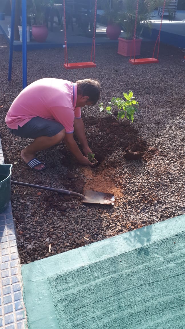 En este año complejo embelleciendo y cuidando los espacios para la recreación de los afiliados. De paso se plantaron más de 1000 plantines y árboles. Seguimos...todo el año UDPM-ADOMIS
<a href="/grillo141/">Ruben Dario</a> <a href="/cjdechat/">Christian Dechat</a> <a href="/Marcos42866602/">Marcos Caballero</a> <a href="/Marcos42866602/">Marcos Caballero</a> <a href="/CristinaFretes4/">Cristina Fretes</a>