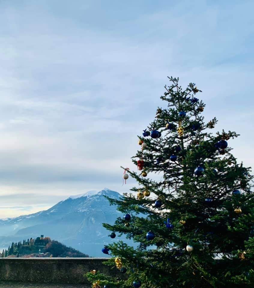 PerledoViews's tweet photo. #Christmas2020 #Natale #bestview #photography #Perledo #ProLocoPerledo #ProLoco #christmastrees #loveit https://t.co/FfXVXSHAb7