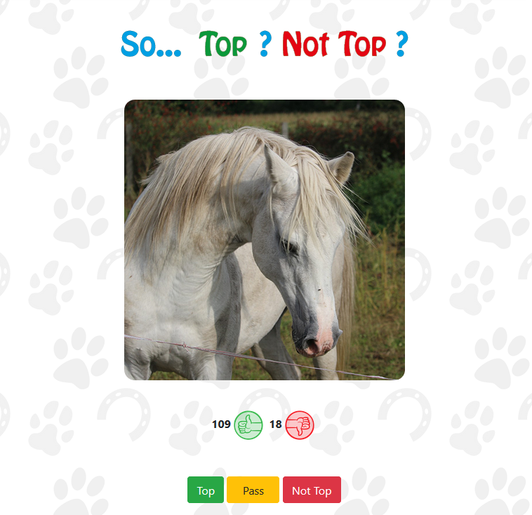 Top__Animals's tweet photo. So… Top or Not top ?
https://t.co/cWxhZowVKF
#cats #dogs #horse #chat #chien #cheval #catoftwitter #dogsoftwitter #horsesoftwitter #topanimals https://t.co/3K4UWDKtb7