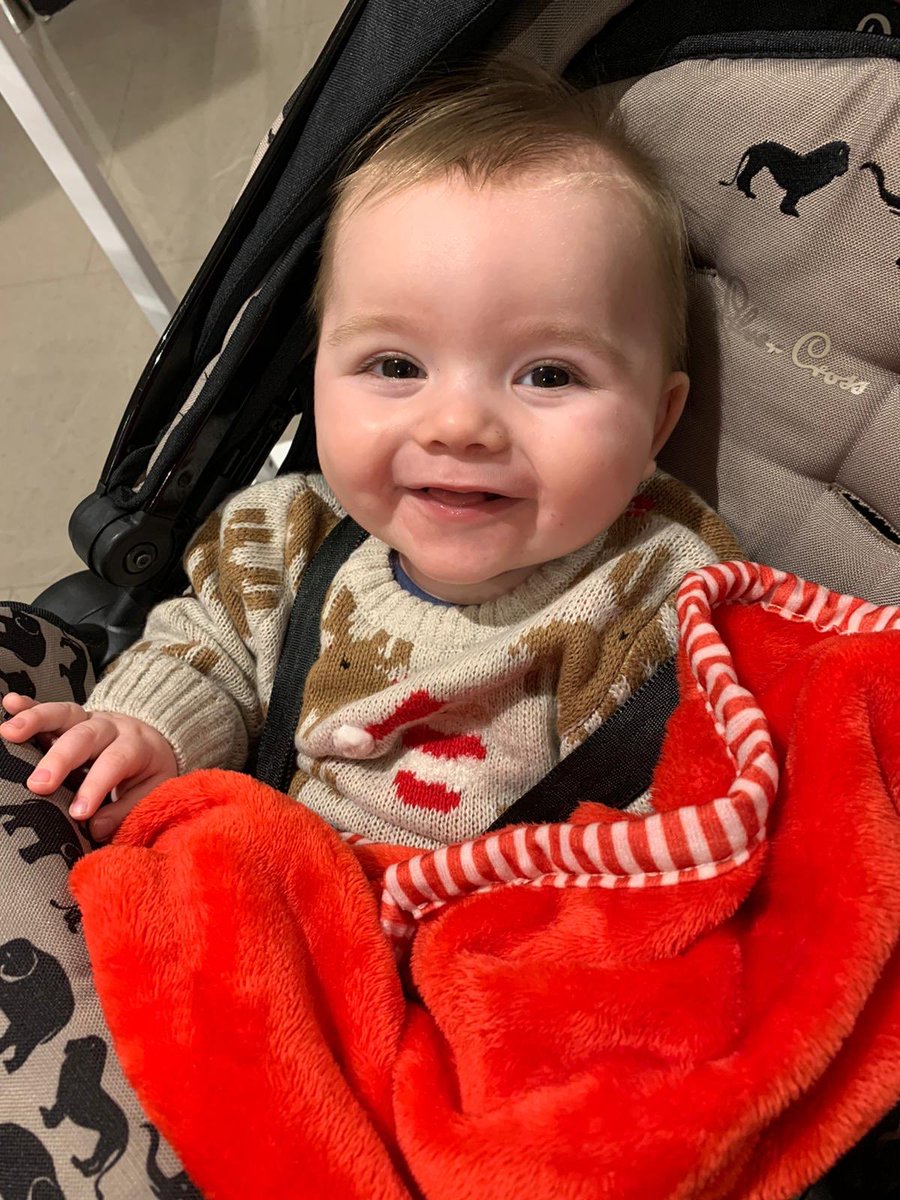 RuthMcQuillan2's tweet photo. Having this wee birdโs company the last ten days has made life bearable. Heโs off home to Geordie land now and will be a bigger boy when I see him again. ๐ฅ#Bereavement #Grief #Mum #Smilingthroughthetears https://t.co/9ZzwJQhdoj