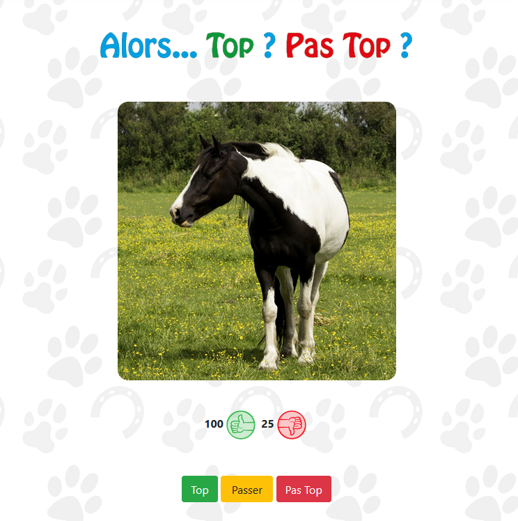 Top__Animals's tweet photo. Alors… Top or Pas top ?
https://t.co/cWxhZowVKF
#cats #dogs #horse #chat #chien #cheval #catoftwitter #dogsoftwitter #horsesoftwitter #topanimals https://t.co/XJyqE5KS6r