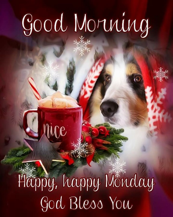 RBfan4ever's tweet photo. Mornin' y'all! ❤ https://t.co/gLam6ZfAgK