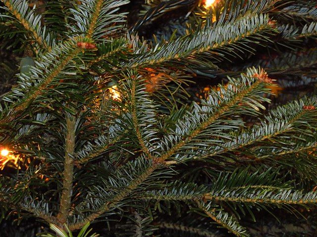 The Waste and Resources Action Programme (WRAP) has released its guide on how to have a more sustainable Christmas this year. Have a look:  buff.ly/37tHtF8