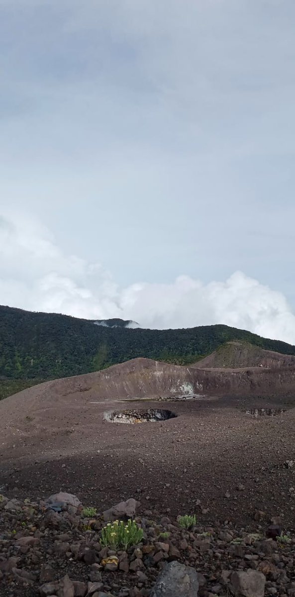 weedneedday's tweet photo. enjoy life without roof.

#MtMarapi #2891mdpl https://t.co/ZL34l3PsZQ