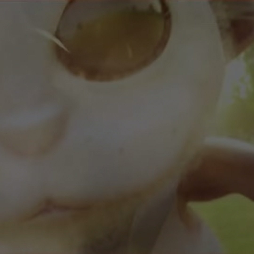 tyler joseph as ned; a thread