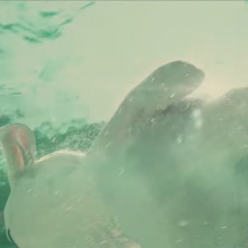 tyler joseph as ned; a thread