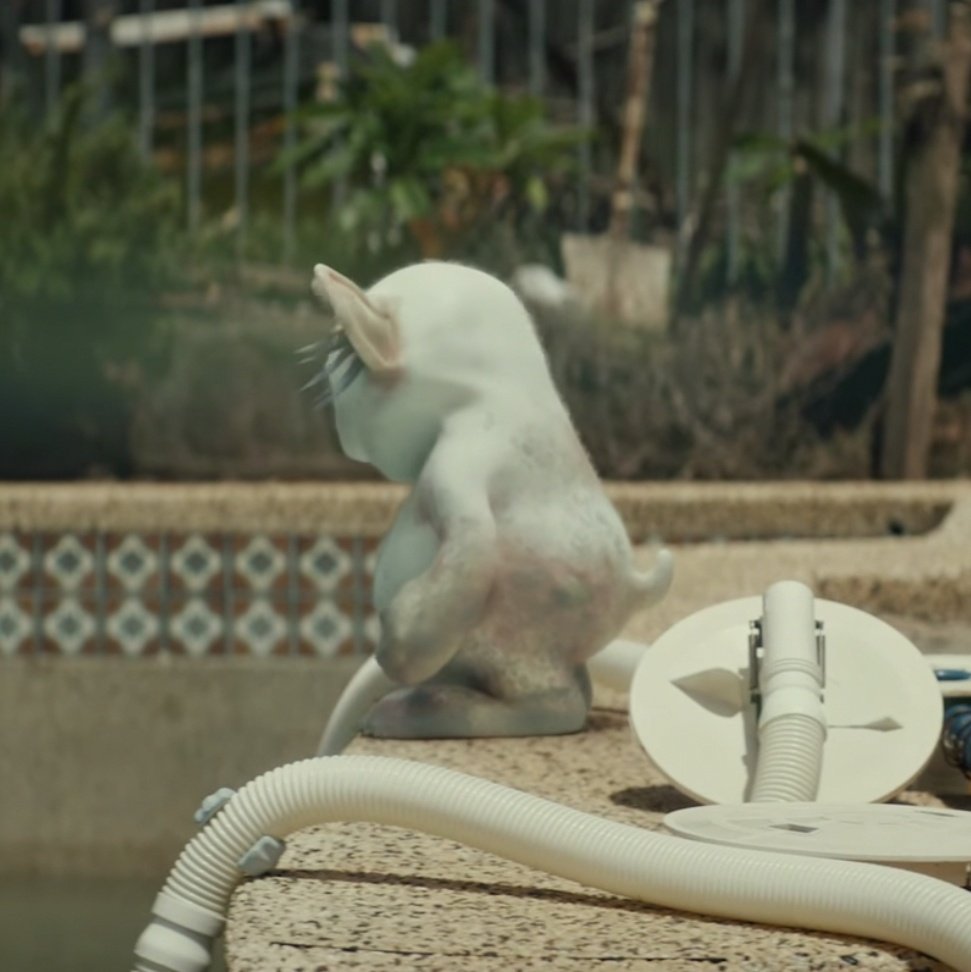 tyler joseph as ned; a thread