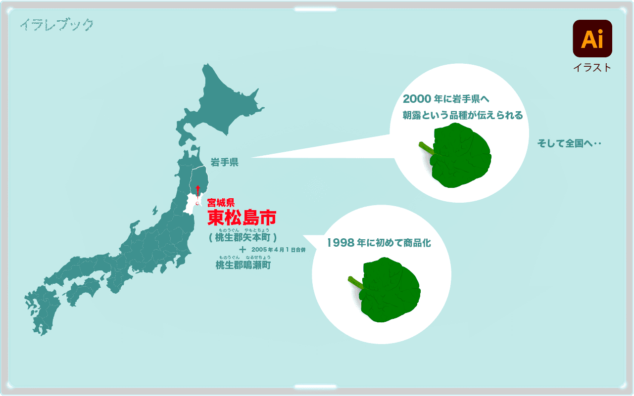 イラレブック ちぢみほうれん草 冬しか食べられない 寒さで分厚くなったほうれん草 ビタミンcは通常のほうれん草の3倍 しかも甘い 宮城県矢本町から始まった歴史も紹介 T Co D4wricq54d ちなみにほうれん草はサトウダイコンと親戚同士だ