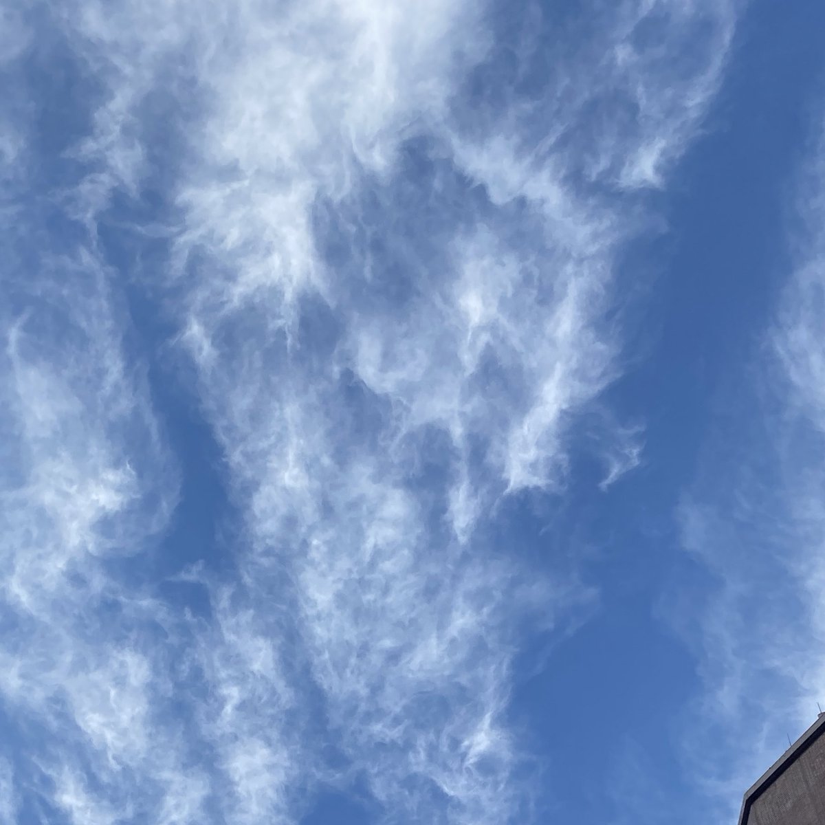 私にとっての今年の漢字は、、
　【移】
ですね💡

家、仕事、飲む場所、遊ぶ場所、行くお店、、全部移り変わってきたなーと😆

大変な１年だったけど新しいところで楽しくやっております✨😊

ふたご座流星見たいなと思いつつ、１年振り返ってみました🎵
#今年の漢字 
#ふたご座流星群