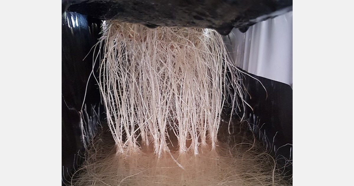 Phytoponics tweet media