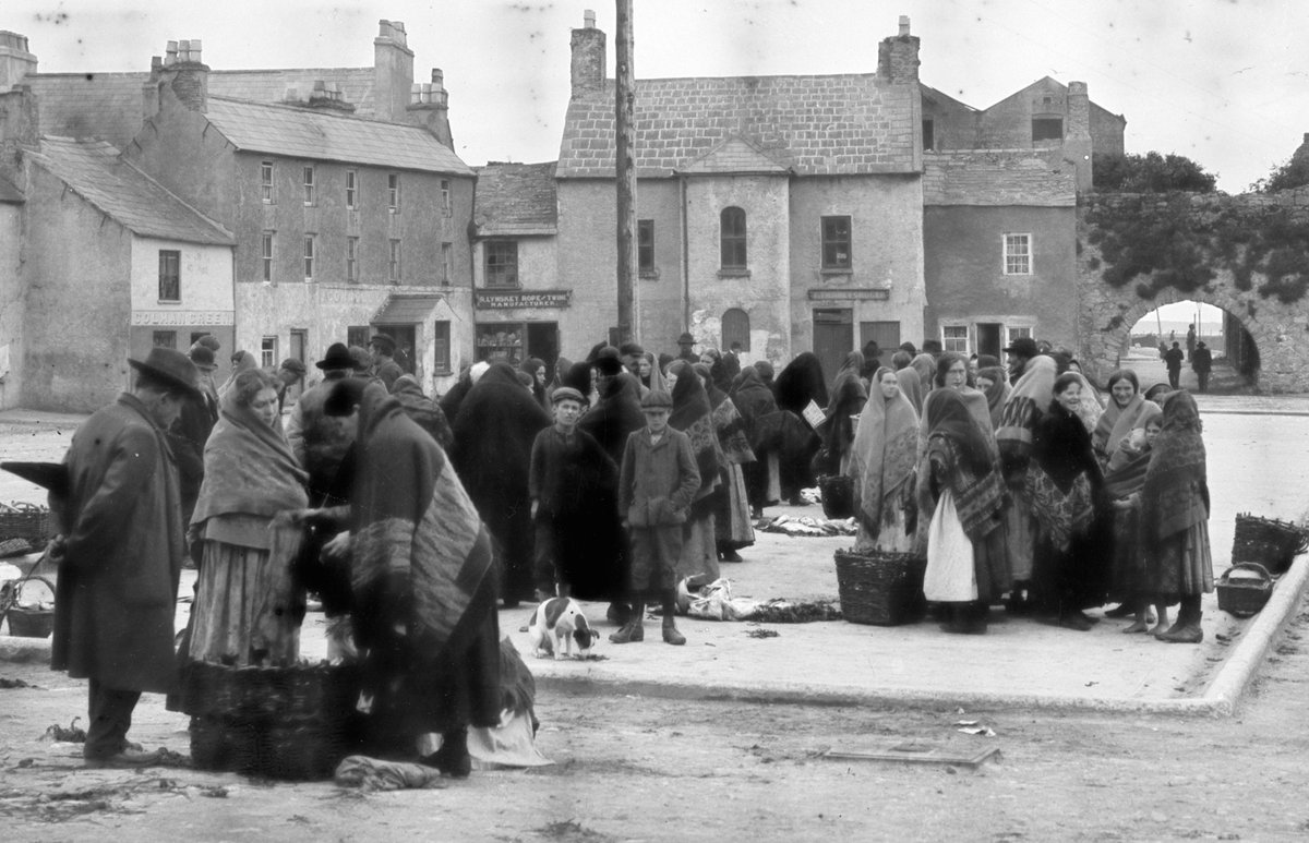Historical records tell of vast herring shoals that used to inundate bays like a great silver tide. We know that herring have been lost from many areas where they were once plentiful. The amount of herring being sold at traditional fish markets surpasses current national landings