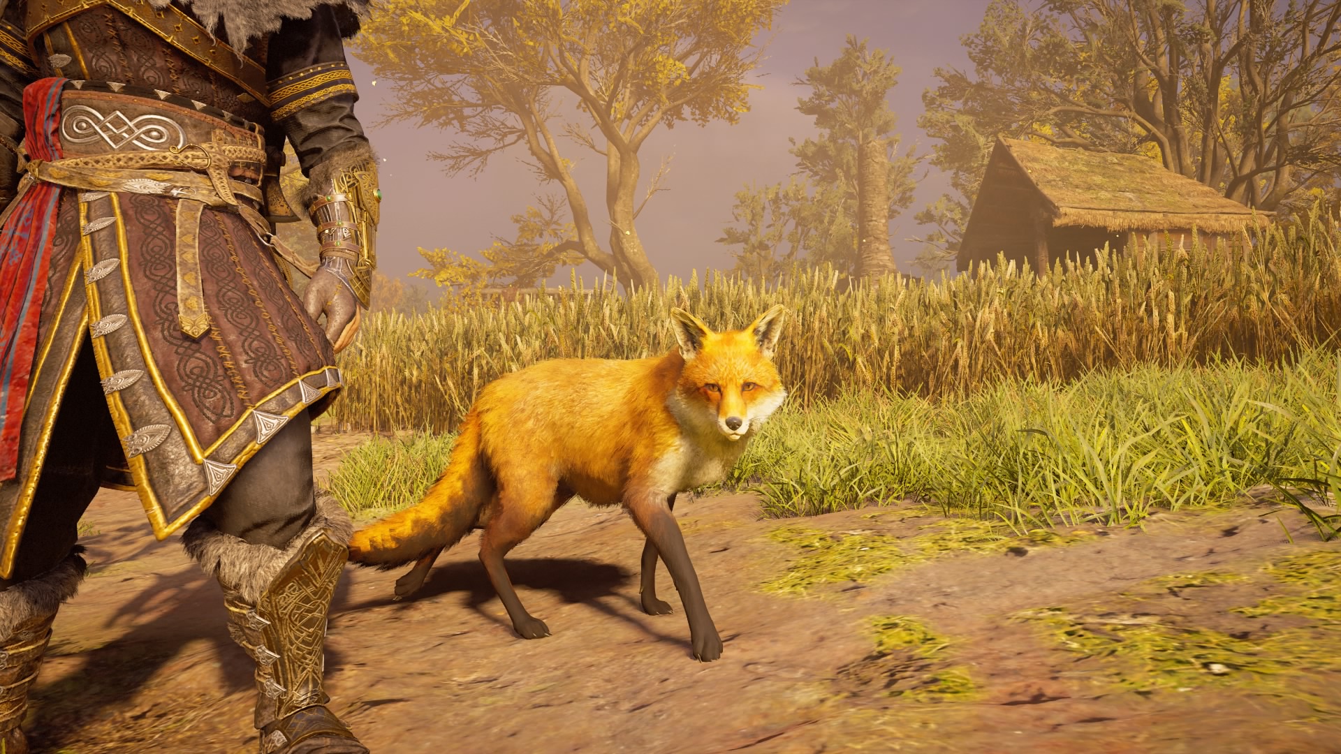 シュリート アサシンクリードヴァルハラ カラスが初めて肩にとまってくれたわ カワイイやつめｗ 定住地にやって来た新たな仲間 ダンデライオンパフ 狐 名前なげーよ T Co Umjklsglue Twitter