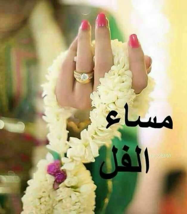 يااااا ويييييه مساء الخيييير 

أهل  عدن  والله غيييييير !