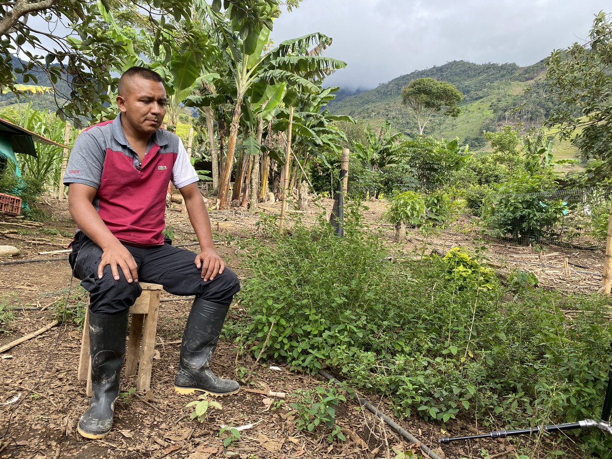 246 former FARC guerrillas have been assassinated since the peace accord was signed. Despite the total betrayal by the Duque government, this former FARC fighter-turned-family man/farmer doesn’t want to take up arms again and hopes for real peace.