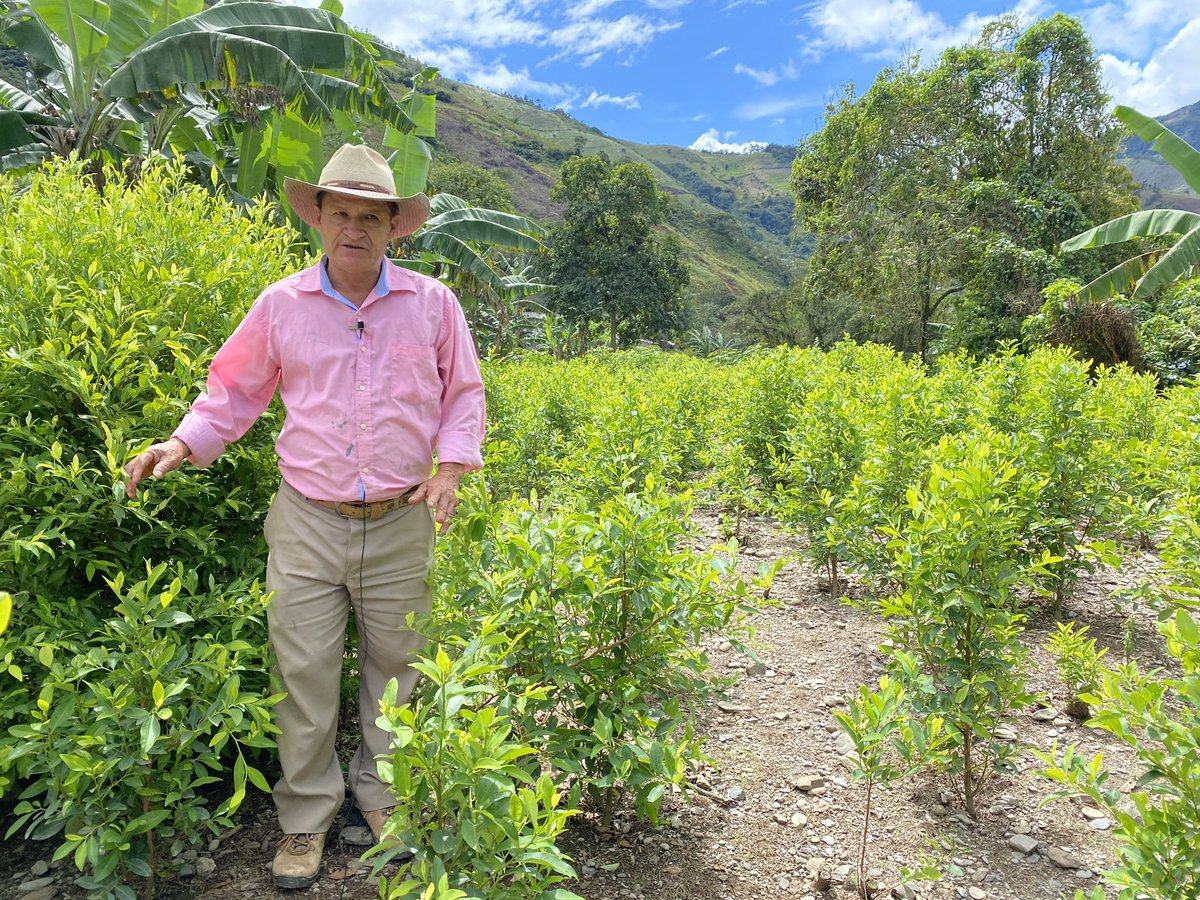 César Rosero is a coca farmer in the Argelia region, a key route to the Pacific Ocean and of the most dangerous in Colombia. He explains that it’s impossible to sell other crops and the farmers are slaves of the narco traffickers fueled by US and European demand for cocaine.