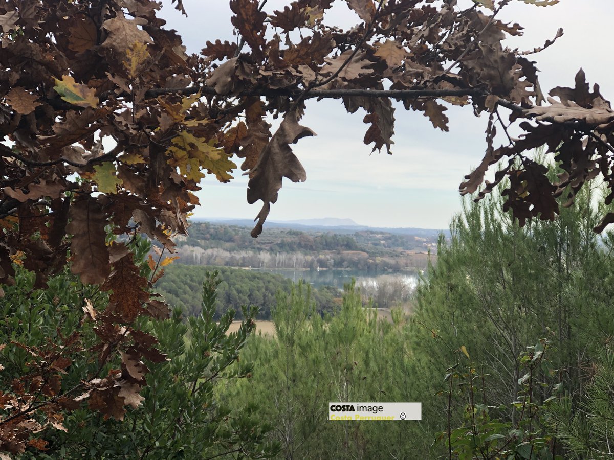 Caminada d' ahir de 14,37 km. per Porqueres